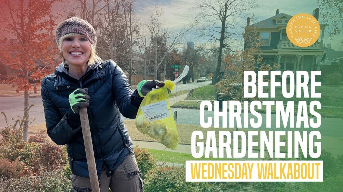 Before Christmas Gardening at the Cottage