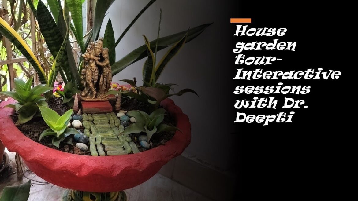 House garden tour-Interactive sessions with Dr. Deepti #HouseGarden #gardentips#InteractiveSessions House garden tour-Interactive sessions with Dr. Deepti #HouseGarden #gardentips#InteractiveSessions