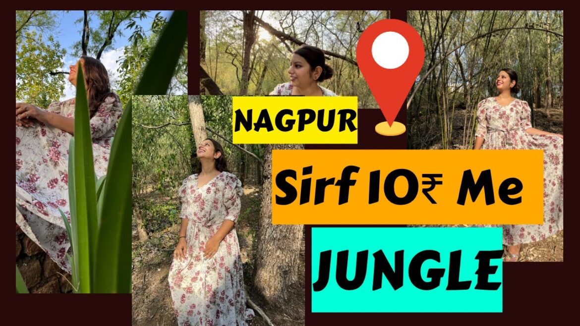 Best Places In Nagpur | Japanese Garden | Nagpur City Vlogs | #nagpur #travel #youtube #explorepage