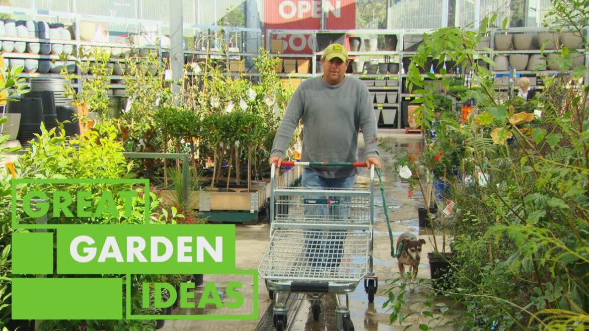 How to Pick the Right Plants for Your Garden | GARDEN | Great Home Ideas How to Pick the Right Plants for Your Garden | GARDEN | Great Home Ideas