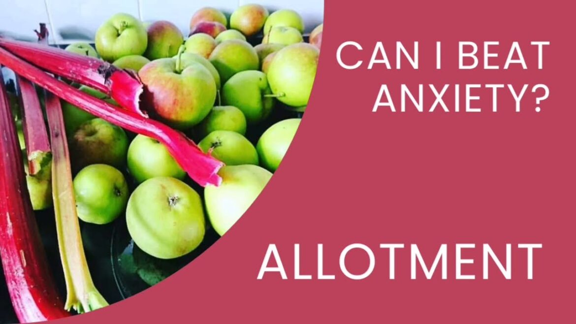 Can I beat anxiety? Plans for a new 1/2 allotment plot, in my garden! fruit & veg with mature plants