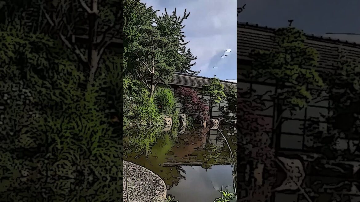 #81Isla de Versailles and its Stunning Japanese Garden. Digital Painting & Music. #shorts