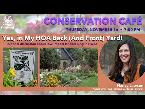 Yes, in My HOA Back (And Front) Yard! – Conservation Cafe, November 2023 Yes, in My HOA Back (And Front) Yard! – Conservation Cafe, November 2023