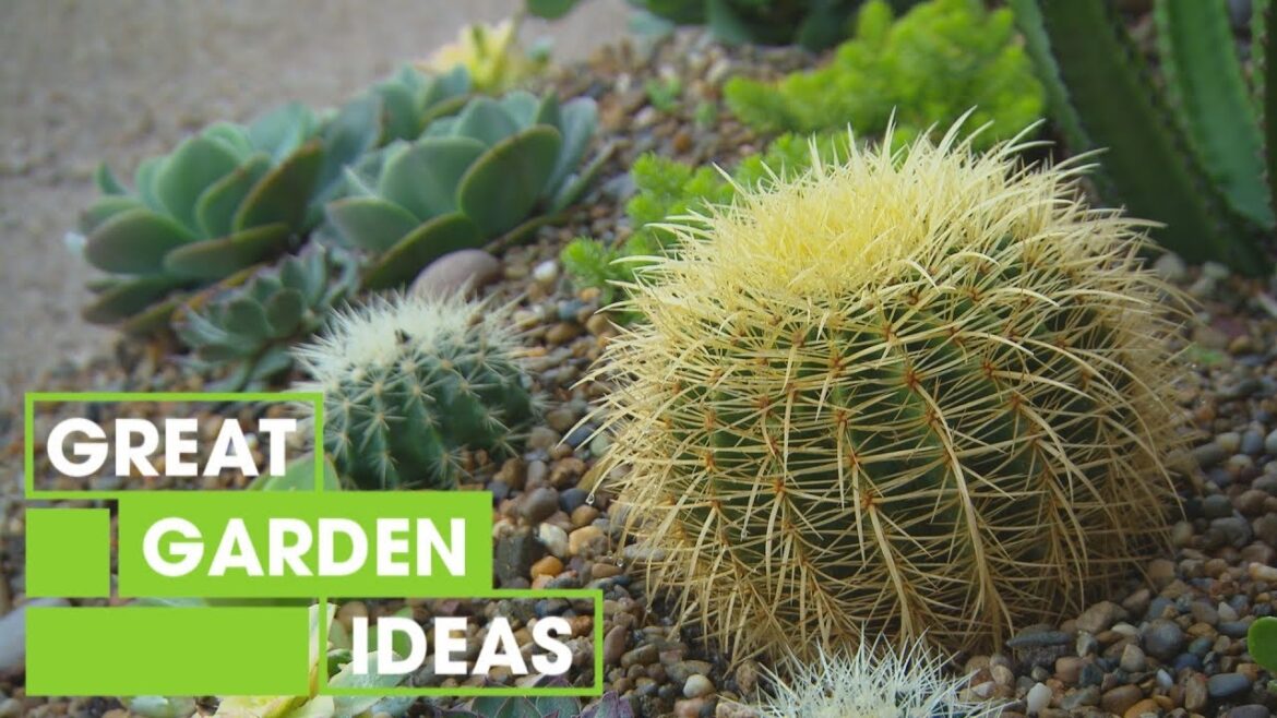 How to Create a Succulent Garden | Gardening | Great Home Ideas How to Create a Succulent Garden | Gardening | Great Home Ideas