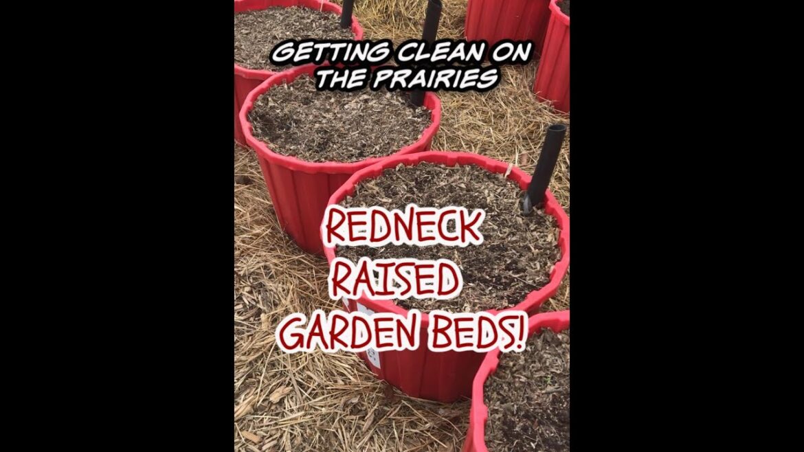 How to Refresh Container Garden in Spring – Cold Climate Gardening How to Refresh Container Garden in Spring - Cold Climate Gardening