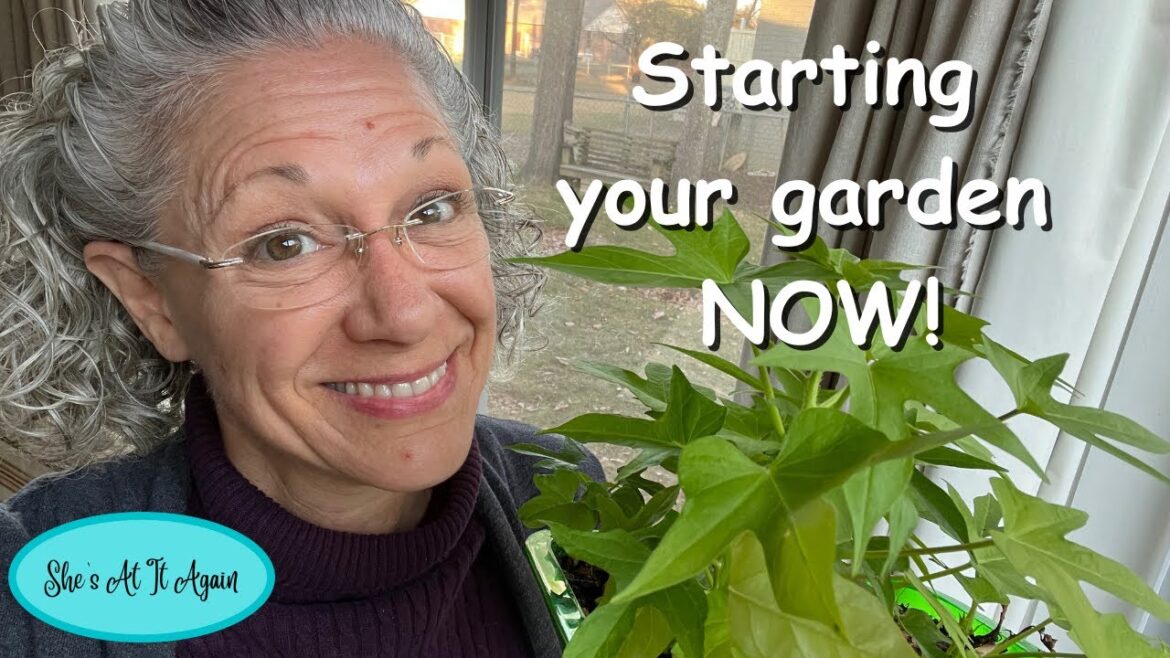 Starting your garden NOW!