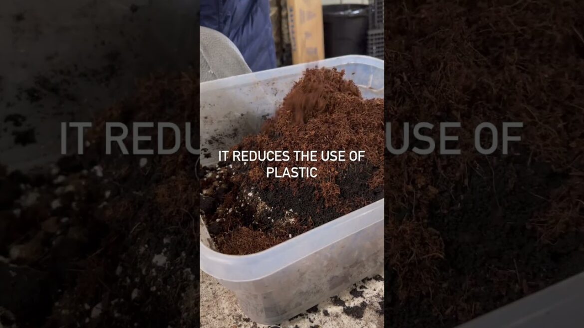 Have you tried soil blocking? From @honeydewfieldsmn #regenerativeagriculture