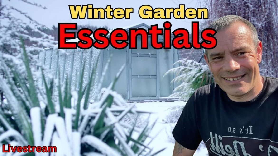 Beat the Cold: Expert Strategies to Keep Your Winter Garden Thriving!