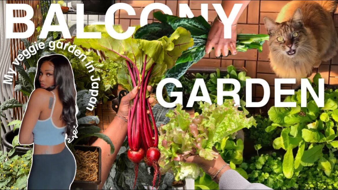 THE DRAMA! 😫 CHANGE YOUR LIFE!  JAPAN MOVING VLOG a vegetable Balcony Garden. Grow your own food
