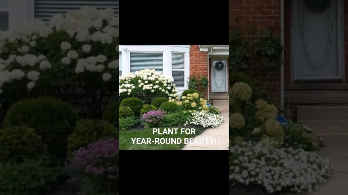 Garden Tips: PLANT FOR YEAR-ROUND BEAUTY!