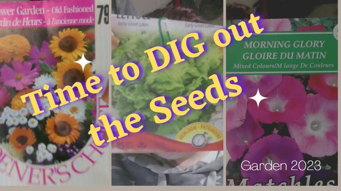 Seed Haul for MY Container Garden