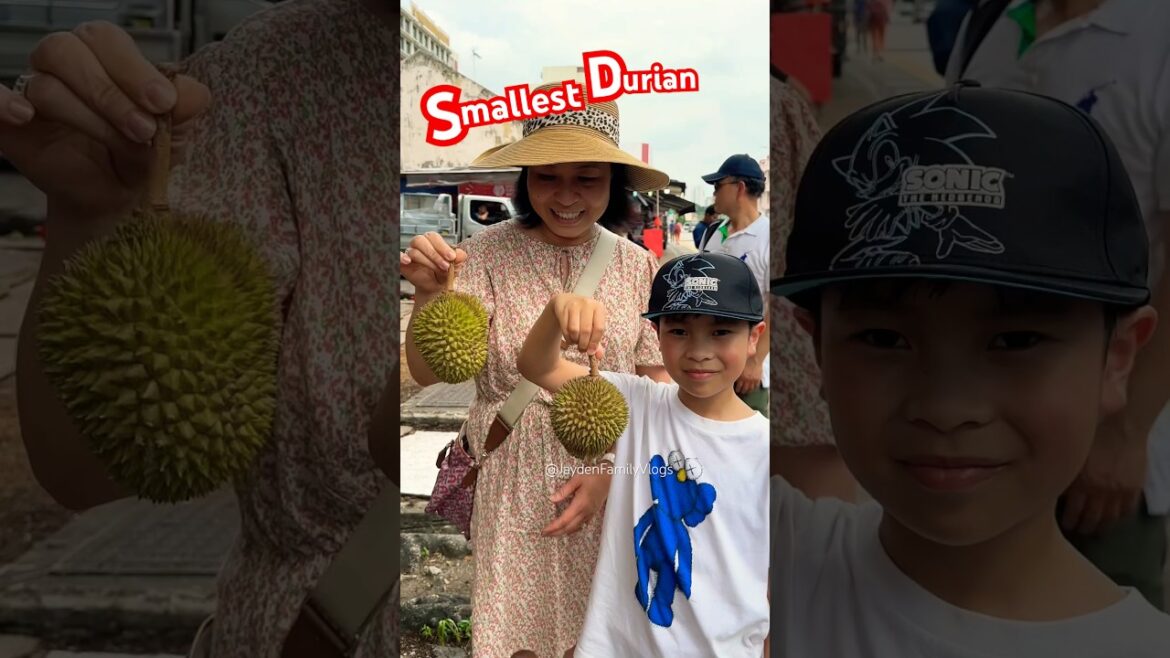 Cheapest Durian Only $1 Singapore 🇸🇬 😱😱#satisfying #shorts #fruitcutting #fruit #enjoy