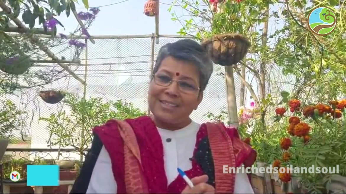 Inspired Gardener- Springtime Story Inspired Gardener- Springtime Story