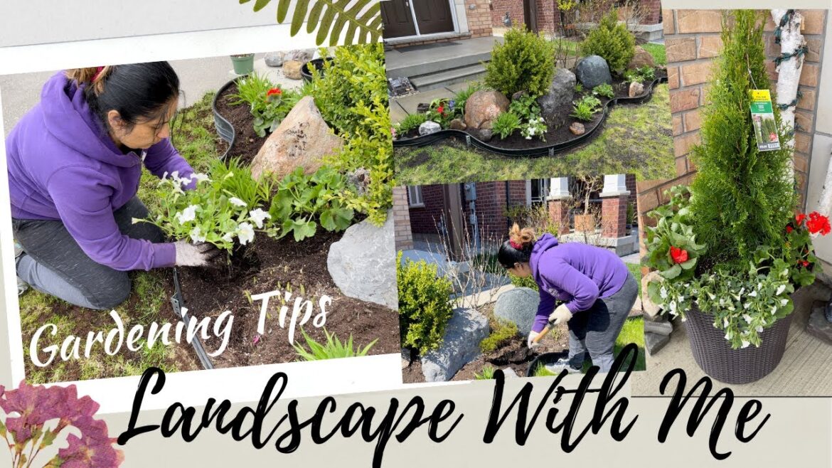 Landscape With Me! Gardening Tips Vlog | Indian Mom Vlogger In Canada | Daily Hindi Vlog |