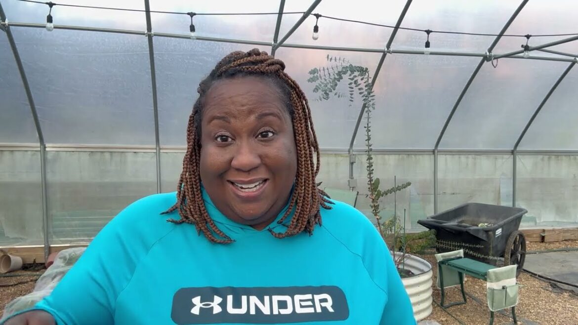 GARDEN DAMAGE & FOOD LOSS….MYSTERY ANIMAL IN MY GARDEN GARDEN DAMAGE & FOOD LOSS....MYSTERY ANIMAL IN MY GARDEN