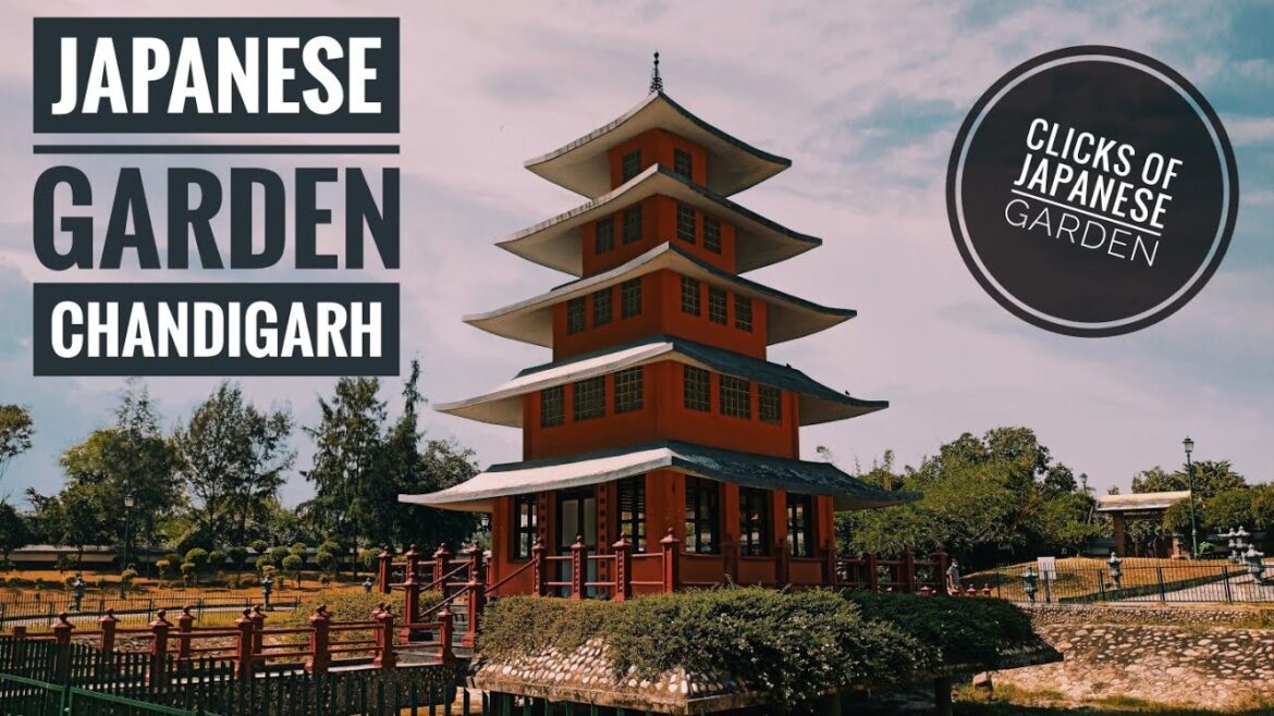 Clicks of Japanese Garden, Chandigarh Clicks of Japanese Garden, Chandigarh