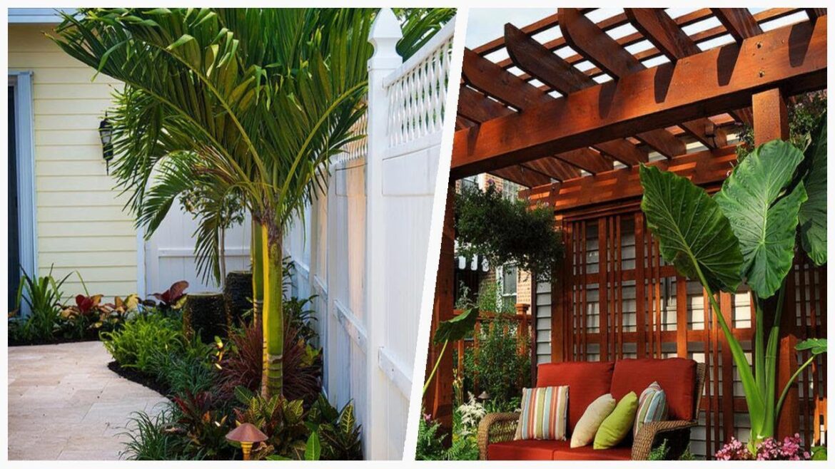 75 Small Tropical Patio Design Ideas You’ll Love 🔴 75 Small Tropical Patio Design Ideas You'll Love 🔴