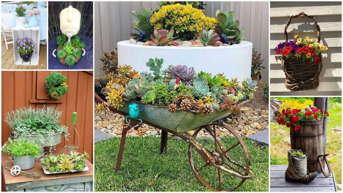 200 Inspiring Planter Ideas! Decorating Indoor and Outdoor Spaces