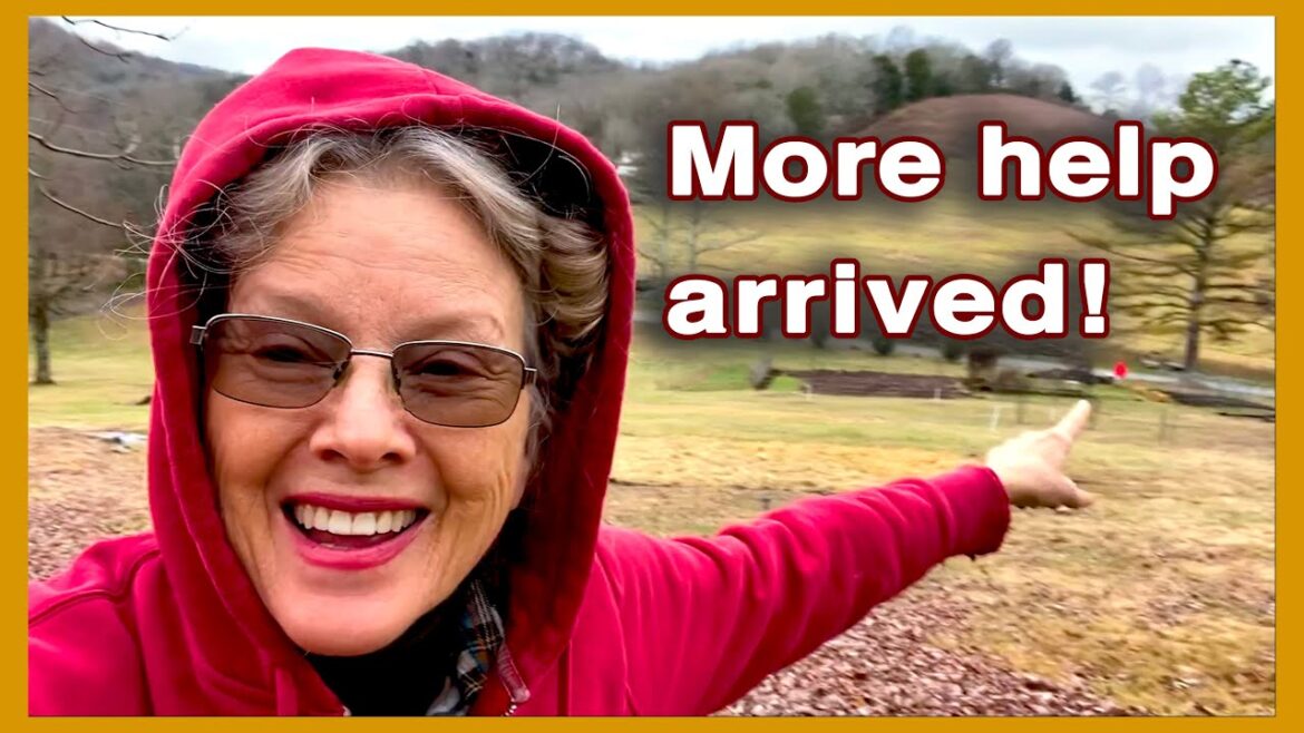 How I am Saving Tropical Plants + Winter Garden Update