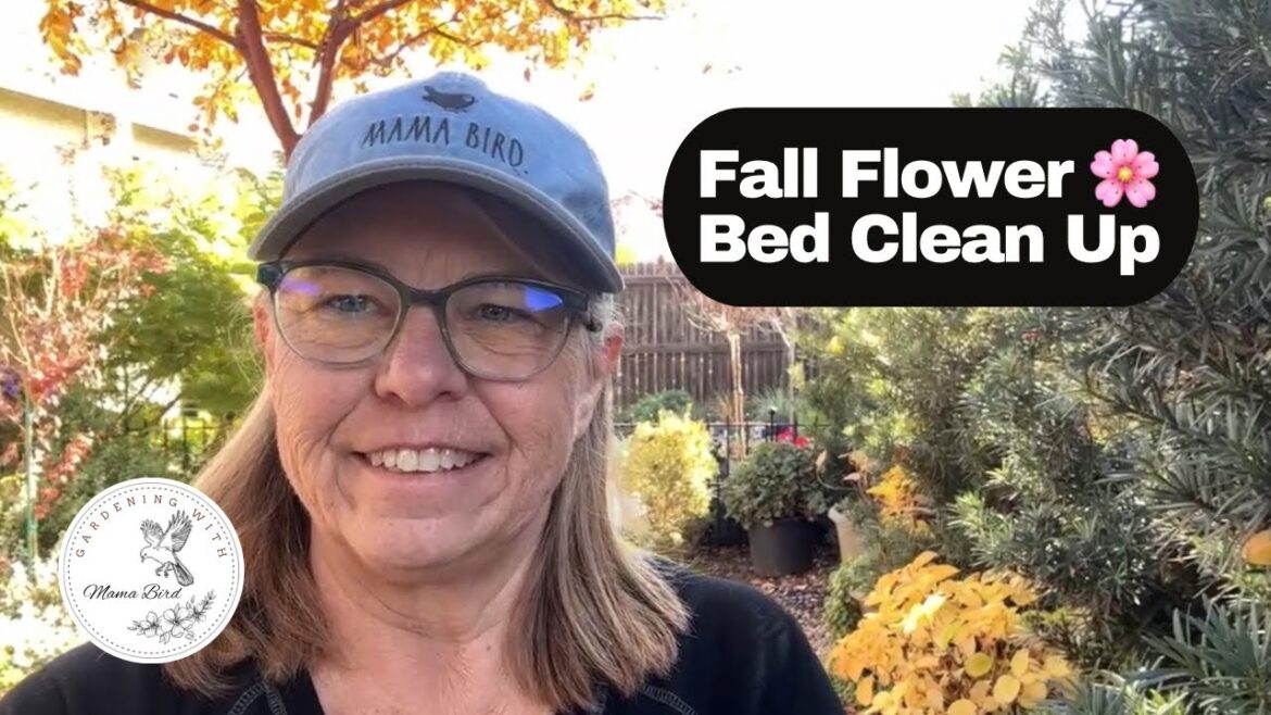 🍁 Small space backyard garden cleaning and planting 🌸 #gardening in small areas #zone9b #gardening