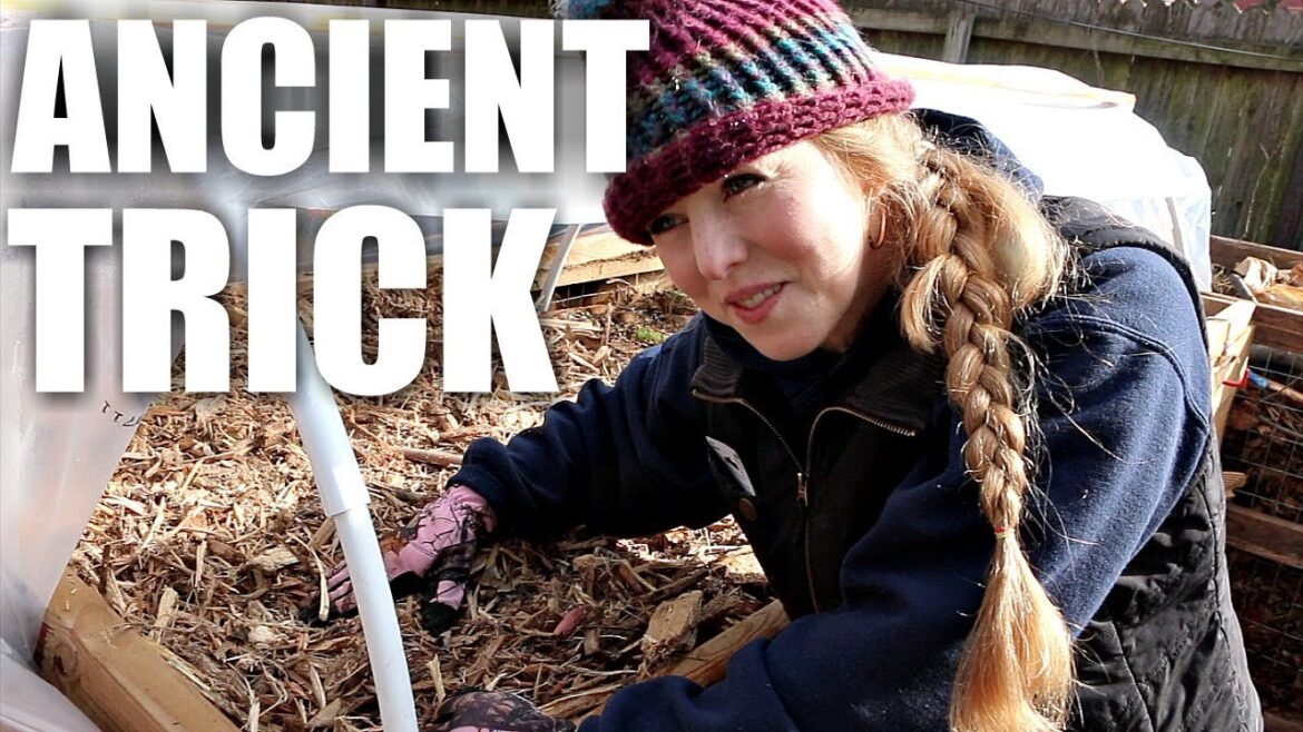 ANCIENT GARDENING TOOL ALLOWS YOU TO PLANT IN FEBRUARY ANCIENT GARDENING TOOL ALLOWS YOU TO PLANT IN FEBRUARY