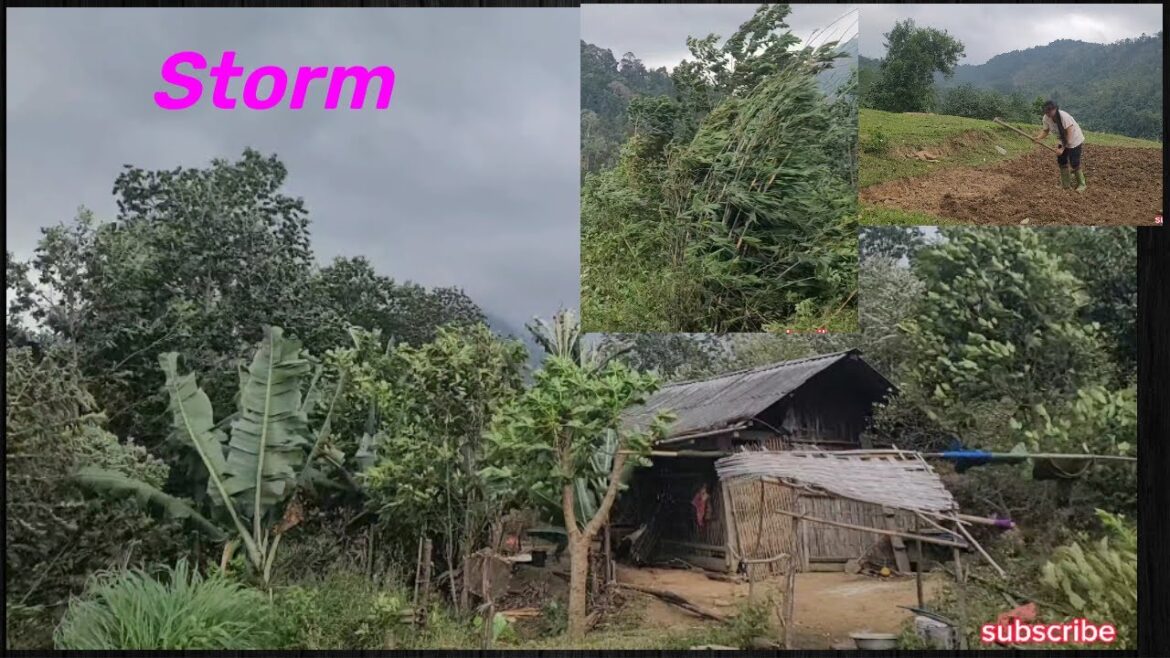 Vegetable gardening.