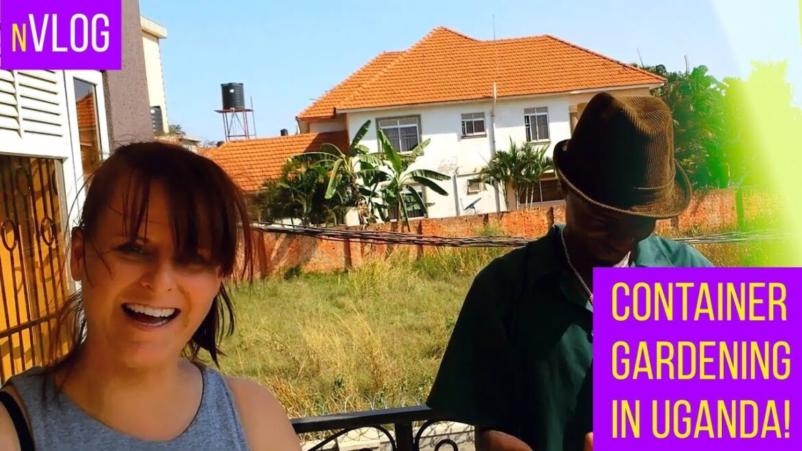 Container Gardening in Uganda + Kampala Sunrise and Sunset #vlog #expat #africa #life Container Gardening in Uganda + Kampala Sunrise and Sunset #vlog #expat #africa #life