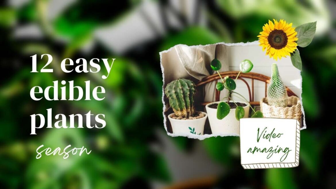 Discover a Dozen Delicious Plants grow Yourself | Grow Your Own 12 easy edible plants at Homes