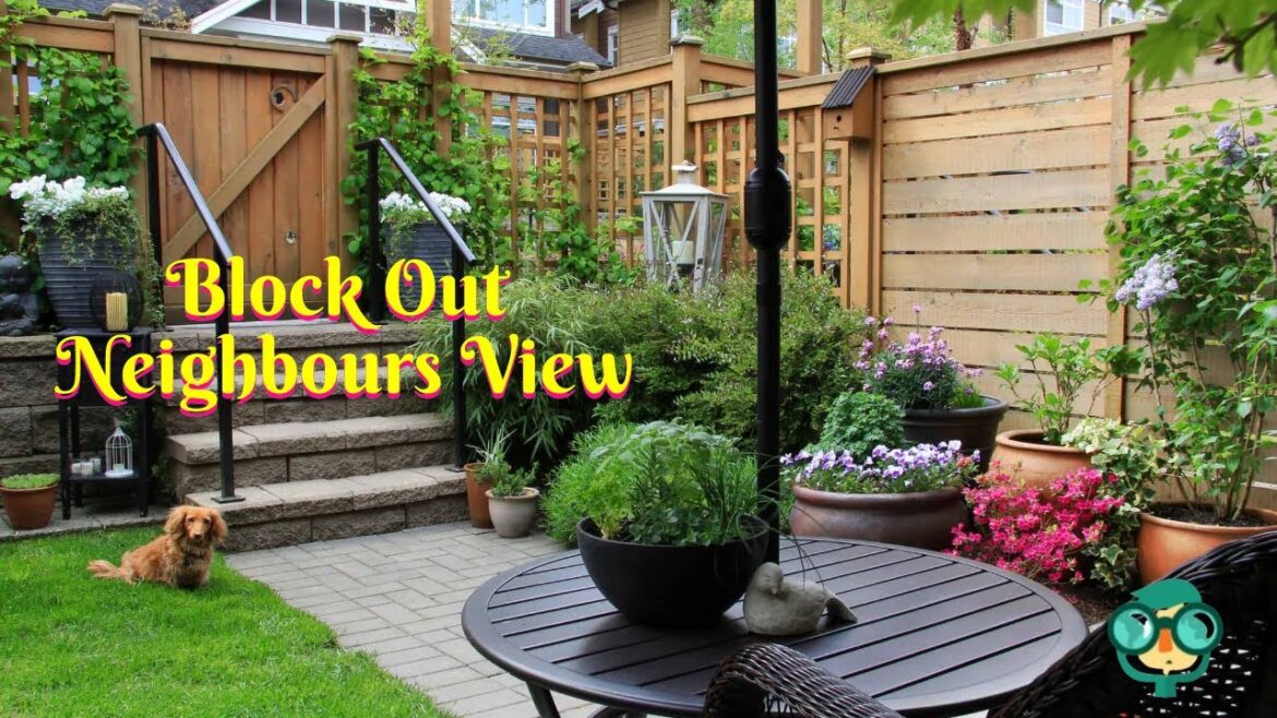 How to Block Out Neighbours View of My Yard? Screening Cheap Ways to Block Neighbors View How to Block Out Neighbours View of My Yard? Screening Cheap Ways to Block Neighbors View
