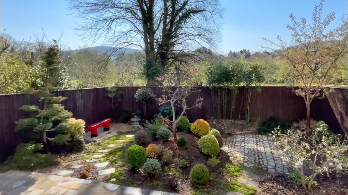 Japanese garden update 17 April 2021