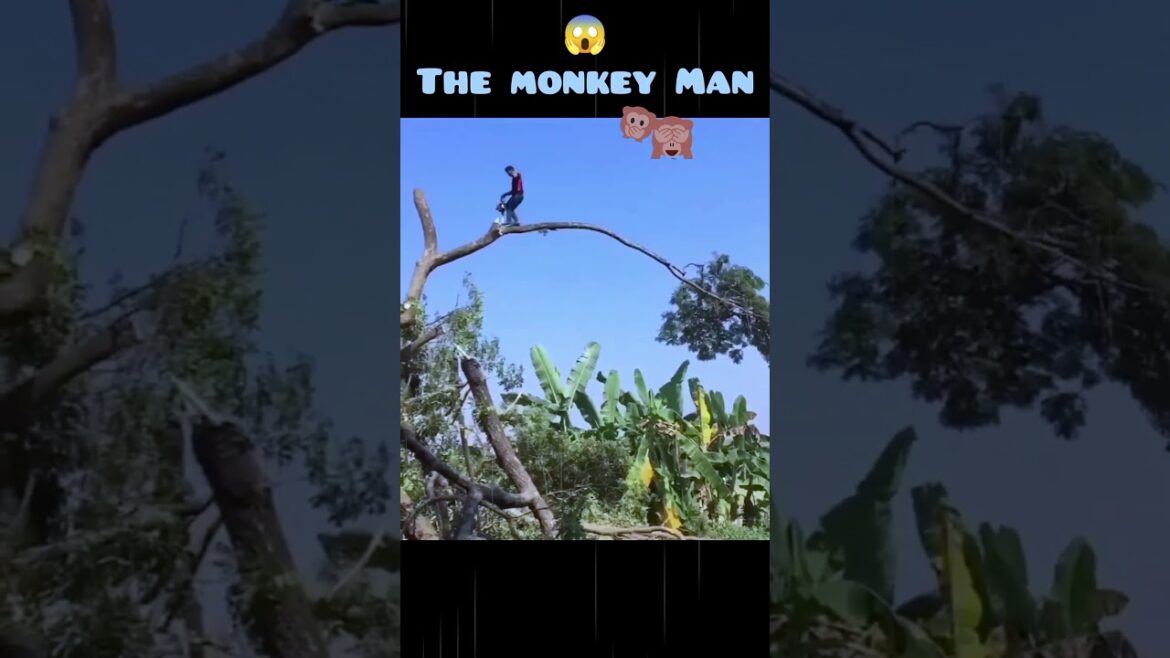 A Monkey Man #shorts #youtubeshorts #shortfeed #gardening