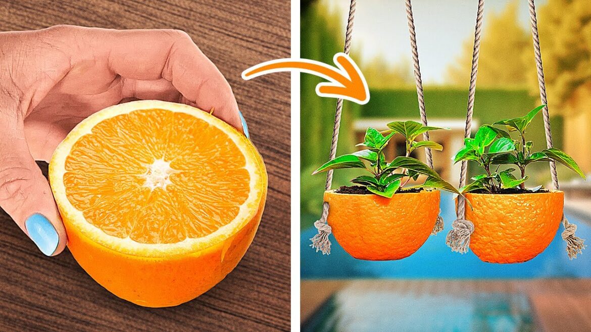 Gardening Hacks: Amazing Planting Tips for Every Level Gardeners 🧑‍🌾