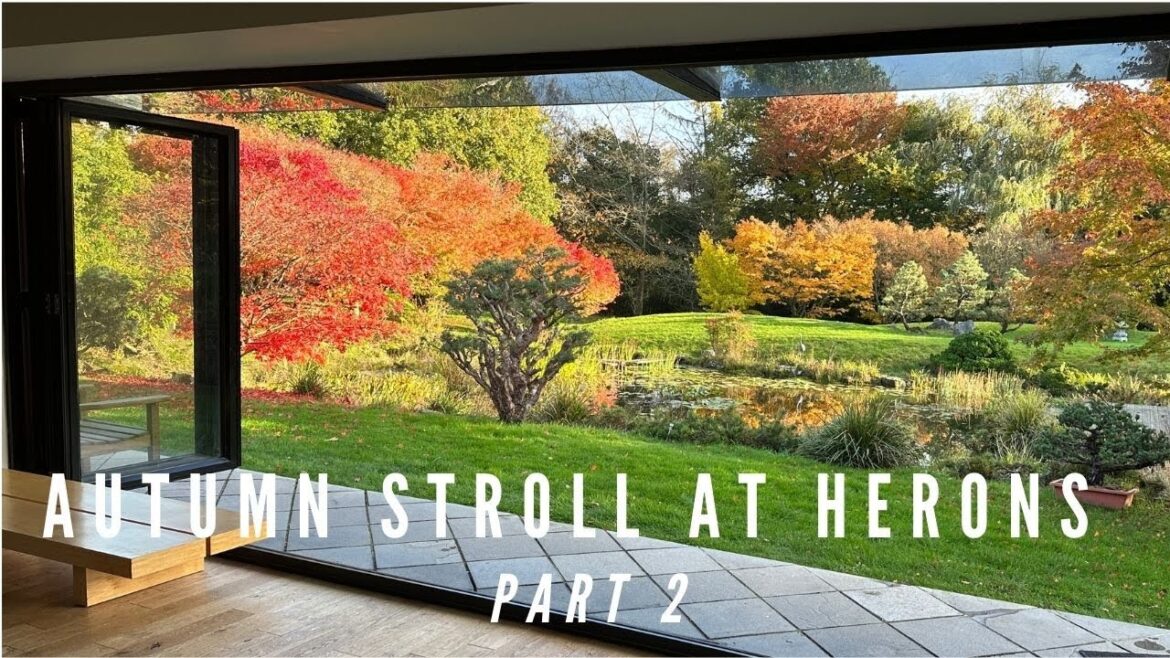 Autumn Stroll at Herons – Part 2 Autumn Stroll at Herons - Part 2