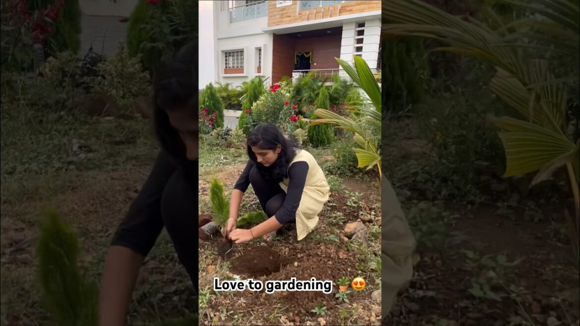 Gardening 🪴👩‍🌾❤️ || Location : Pandharpur #gardening #greenary #shorts #nature #plants #newone