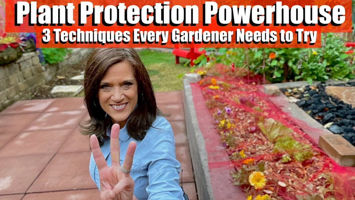 Plant Protection Powerhouse: 3 Techniques Every Gardener Needs to Try