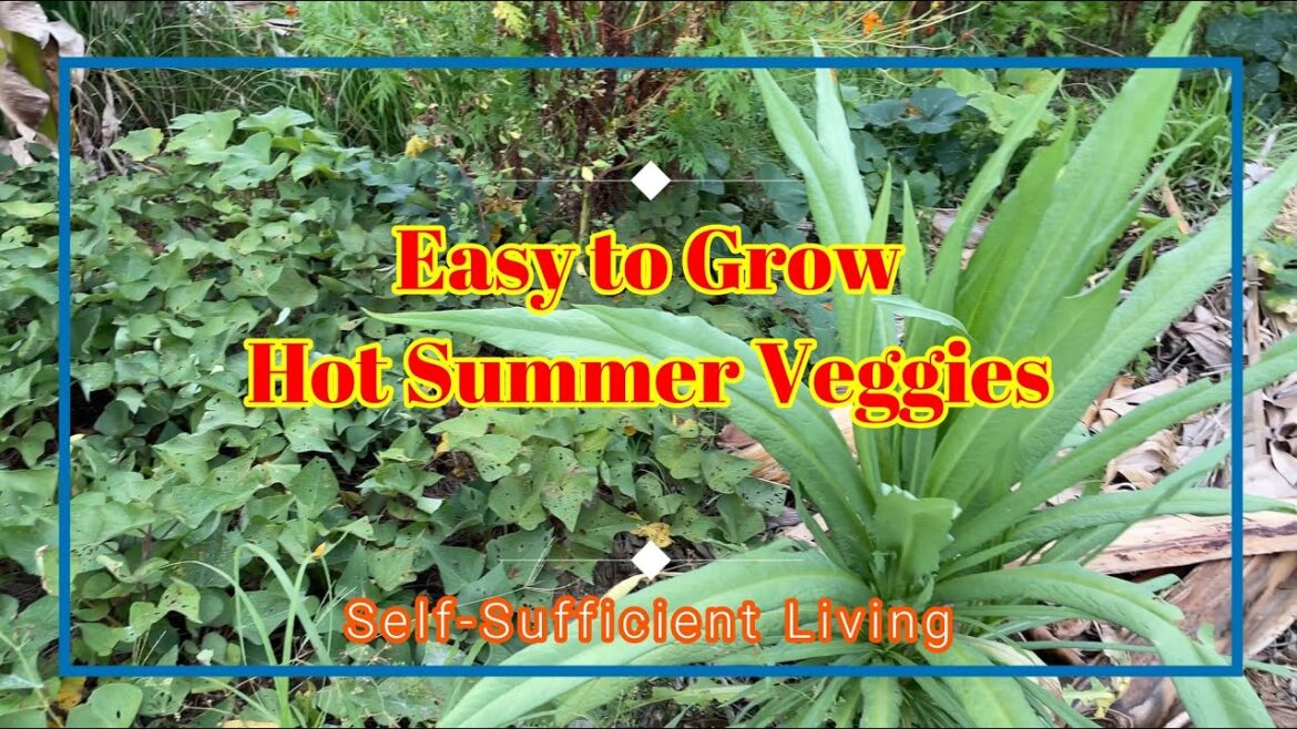 Don't Stop Growing Food in Summer!! Best Edibles to Grow During Hot and Humid Summer in Australia