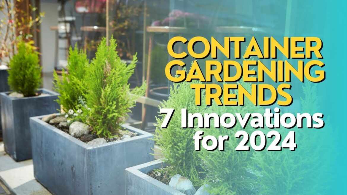 Container Gardening Trends: 7 Innovations for 2024