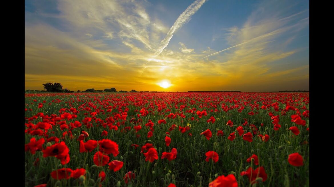 Beautiful relaxing music 9 – Stop overthinking, stress relief music. Beautiful relaxing music 9 - Stop overthinking, stress relief music.