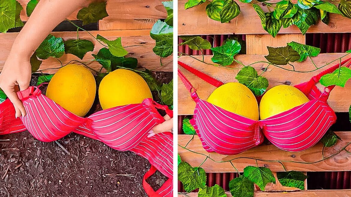 Smart tricks for Blossom and Green Garden