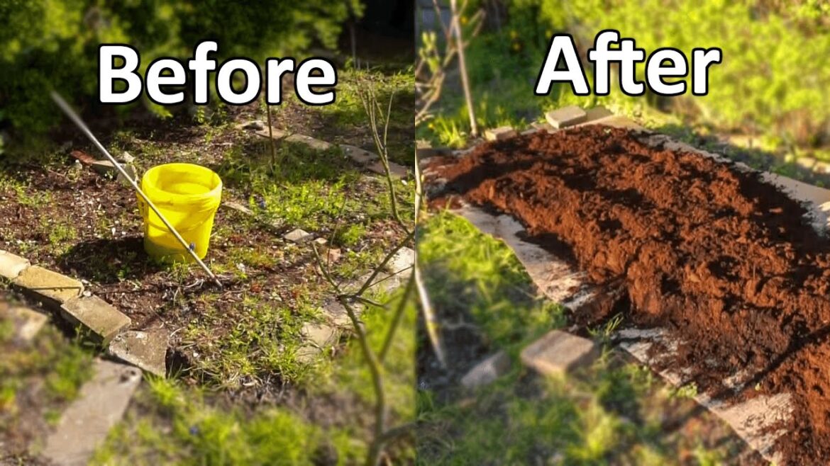 How To Build A No Dig Garden In Your Backyard