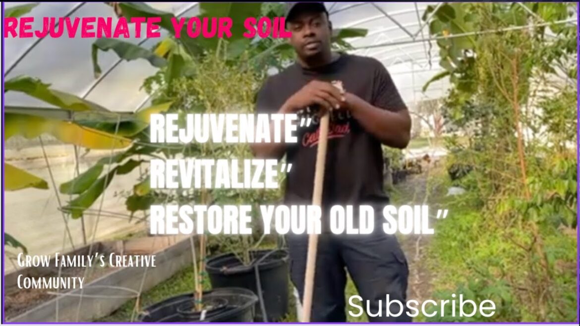 Rejuvenate Your Old Garden Soil| Gardening Skill Thats Needed