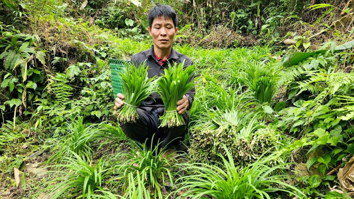 Harvesting Chives Vegetable Goes To The Market sell - Gardening | Solo Survival