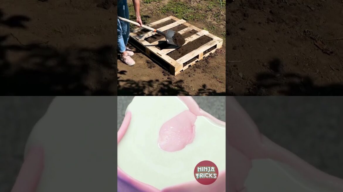 Tips for an Amazing Garden: Creative Hacks You Must Try. 🌷🌿💡 | #shorts #tips #garden