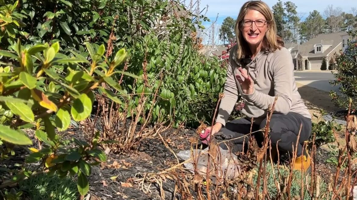 Join Me In The Garden This December For Some Winter Gardening Maintenance Tips And Tricks!