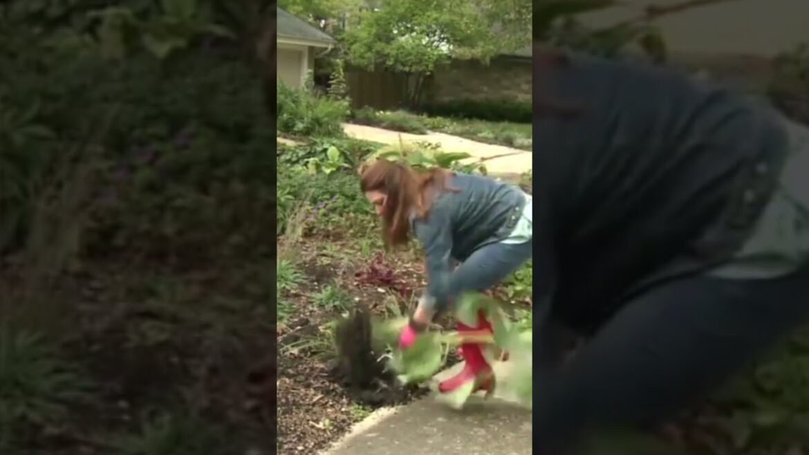 Gardening 101: Top Tools for Beginner Gardeners in 2023