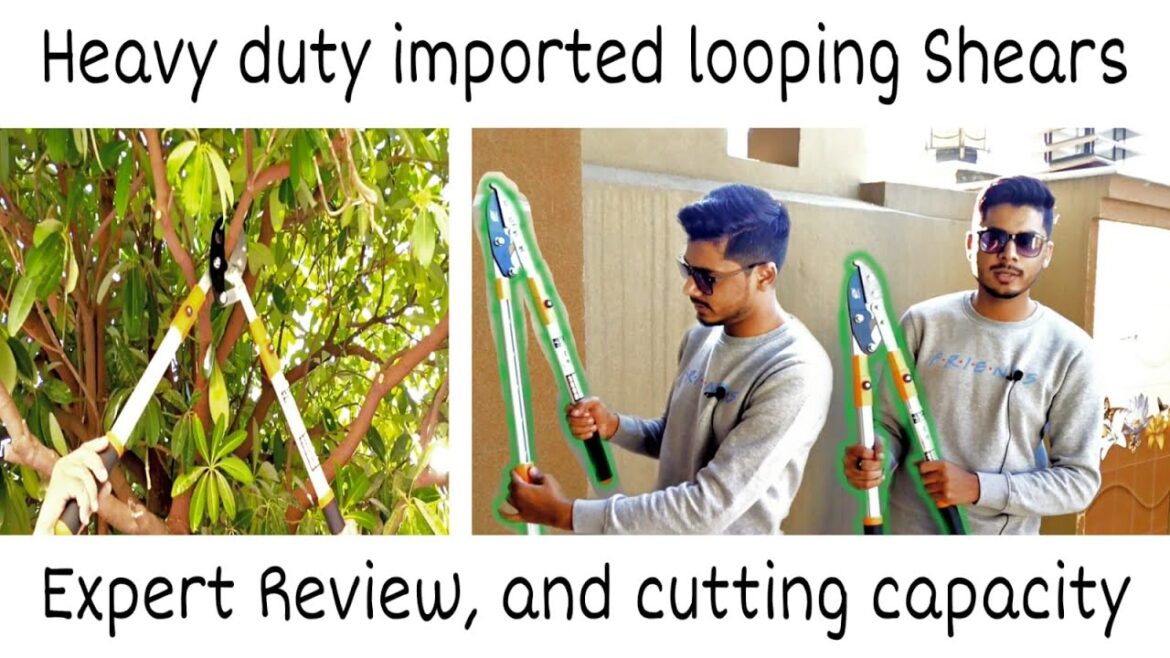 Gardening tools | Heavy Duty Imported Lopping Shears -2 inch Cutting Capacity | Expert Review.