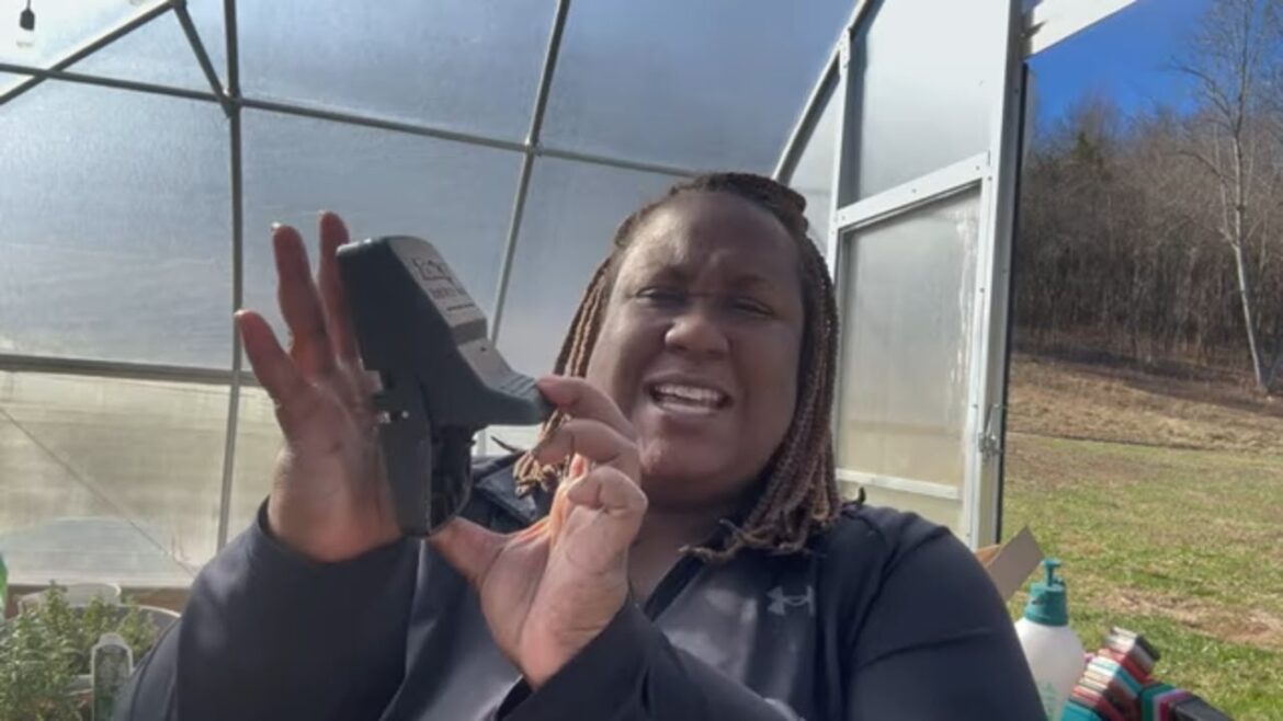 1ST ANIMAL CAUGHT….GARDEN VICTORY! 1ST ANIMAL CAUGHT....GARDEN VICTORY!