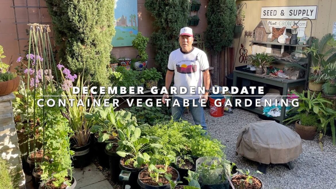 December Veggie Garden Update | Making Protective Wire Cages | Container Vegetable Gardening