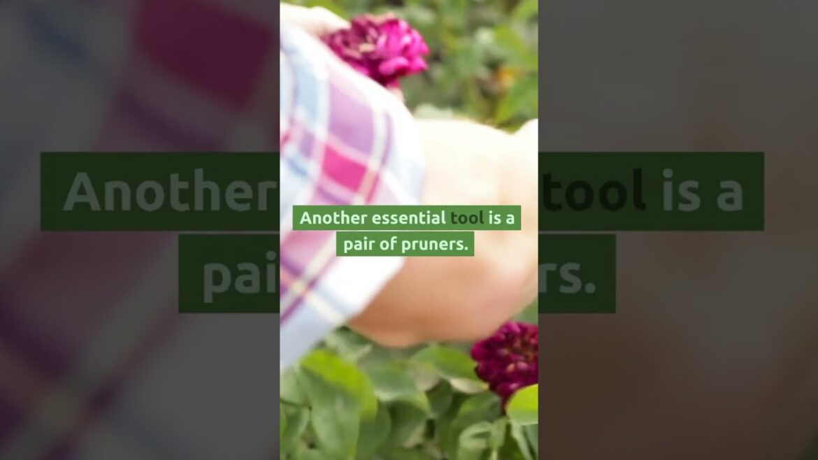 Tools and equipment for gardening #shorts