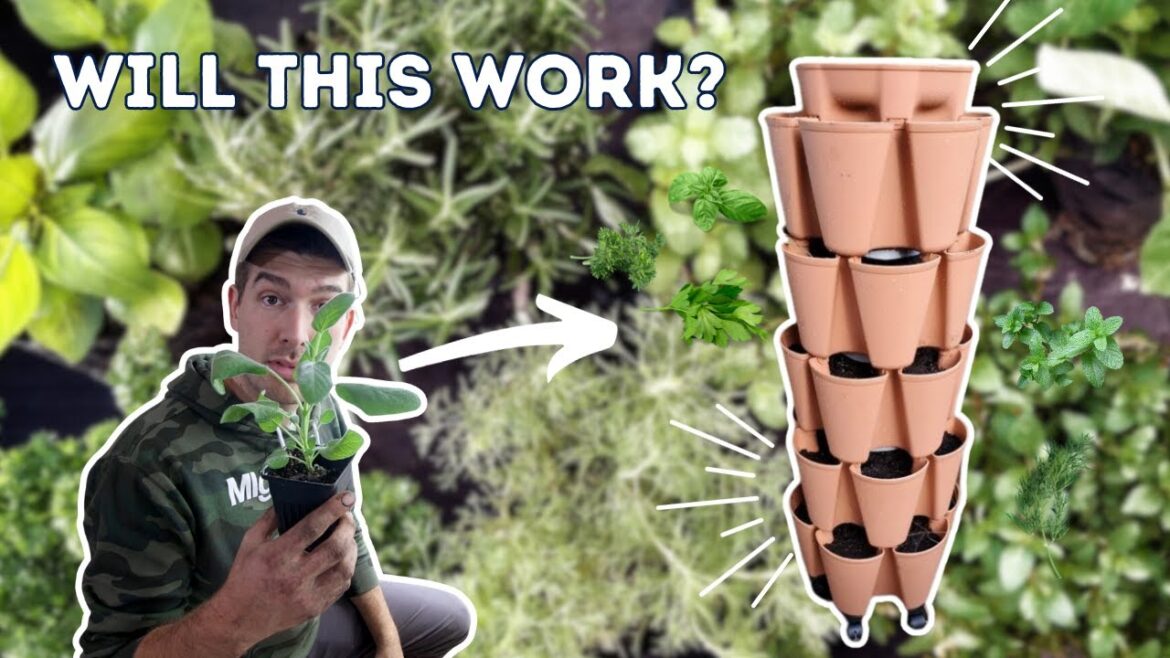 How Many Herbs Can We Grow Vertically Indoors (EXPERIMENT)